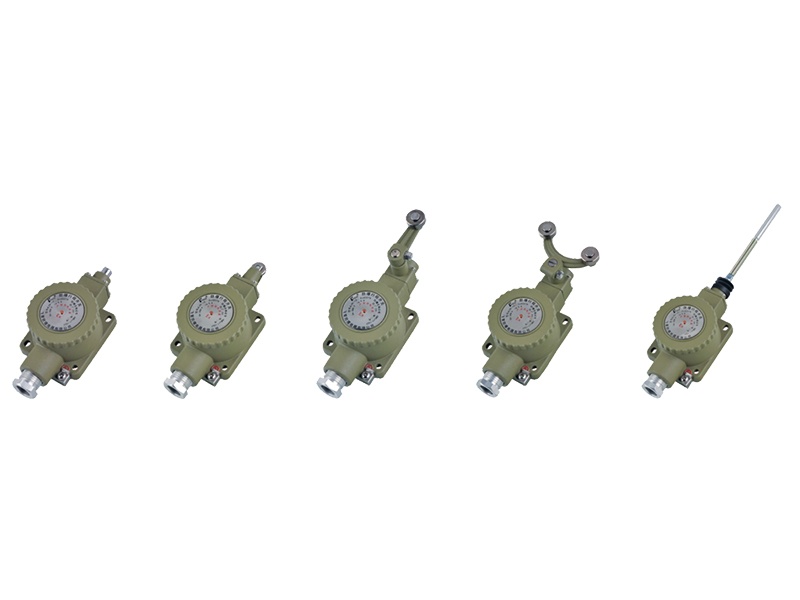 Explosion-proof travel switch