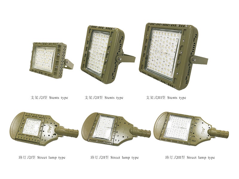 Explosion-proof flood (cast、street) LED lamp