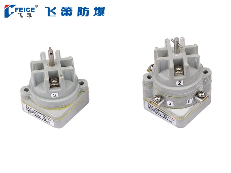 防爆控制開關(guān)8008/2-系列