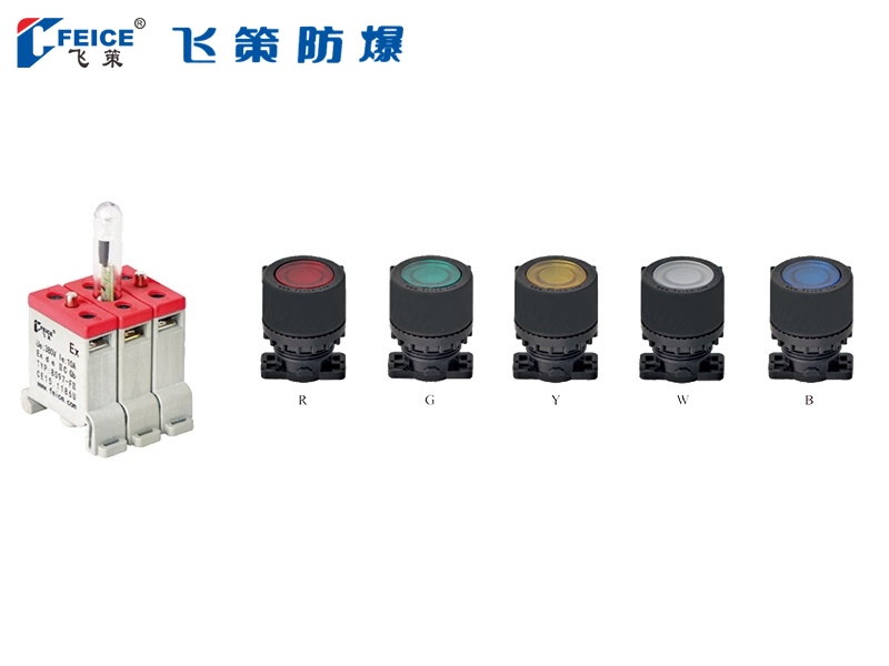 防爆防腐帶燈控制按鈕(Ⅱ型)8097-DN系列