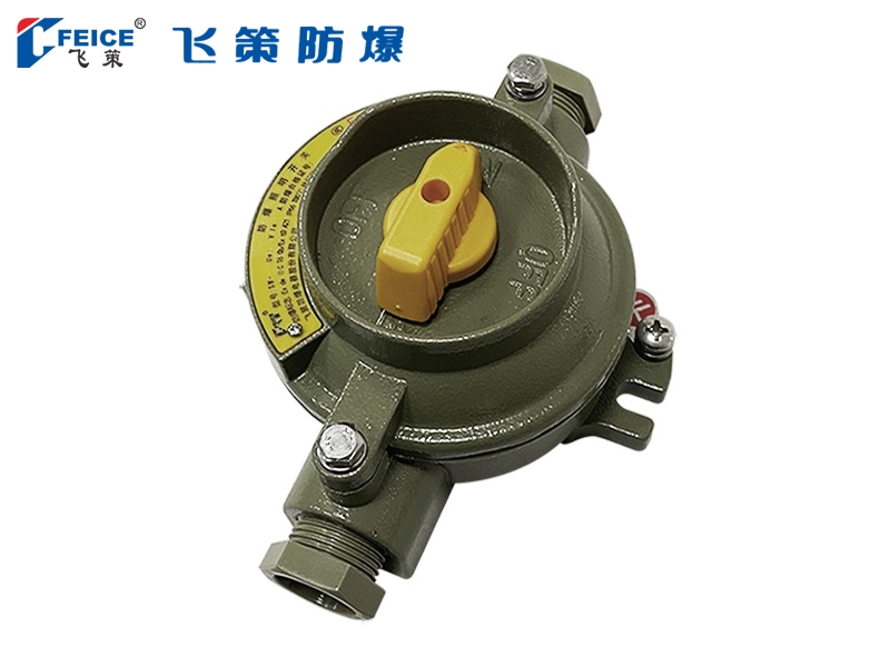 防爆照明開關(guān)SW-10系列